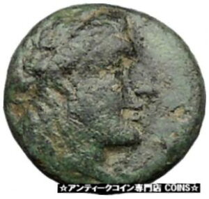 アンティオコス 1 世ソテル セレウコス朝古代ギリシャのコイン アポロ リラ レア i31826Antiochus I Soter Seleucid Kingdom Ancient Greek Coin APOLLO Lyre Rare i31826
