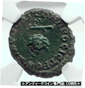 ディアドゥメニアン マクリヌスの息子 ニコポリス 古代ローマのコイン ブドウ NGC i81437DIADUMENIAN son of Macrinus NICOPOLIS Ancient Roman Coin GRAPES NGC i81437(3)