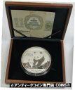 2012 シルバー 中国 300 元 1 キロ パンダ ジェムプルーフコンディション、オリジナルボックスと COA 付き2012 SILVER CHINA 30...