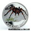 ڶ/ʼݾڽա ƥ    [̵] 2012 Niue Proof Color Silver $1-Mexican Tarantula-rare-mintage 1000-Nice box