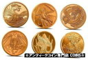 ワールド オブ ドラゴンズ 銅 ラウンド アステカ ウェールズ 中国 北欧 エジプト インディアン 6個セットWORLD OF DRAGONS COPPER R...