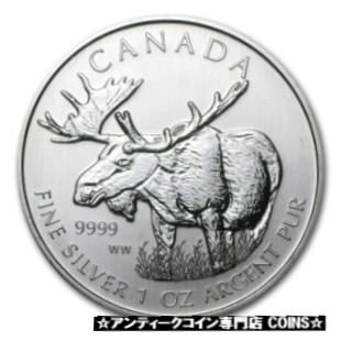 ڶ/ʼݾڽա ƥ    [̵] 2012 Canadian Moose (Wildlife ...