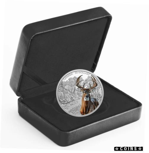 ڶ/ʼݾڽա ƥ    [̵] 2021 Canada Imposing Icons White Tailed Deer 2 oz Silver Colorized Proof $30 OGP