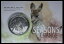 ڶ/ʼݾڽա ƥ    [̵] 2017 Kangaroo Series $1 Fine Silver Frosted Uncirculated Coin ~ Seasons Change ~