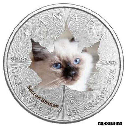 ڶ/ʼݾڽա ƥ    [̵] Kanada - 5 Dollar 2017 - Maple Leaf - Heilige Birma Katze (5.) - 1 Oz Silber ST