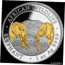 yɔi/iۏ؏tz AeB[NRC RC   [] Somalia 100 SH. 2020 Elefant - Teilveredelt - African Wildlife - 1 Oz Silber ST