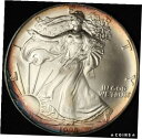 1995 アメリカン シルバー イーグル - トーン - 米国内送料無料1995 American Silver Eagle - Toned - Free Sh...