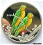 ڶ/ʼݾڽա ƥ    [̵] Turks Caicos 1999 Parrot 20 Crowns Colour 1oz Silver Coin,Proof