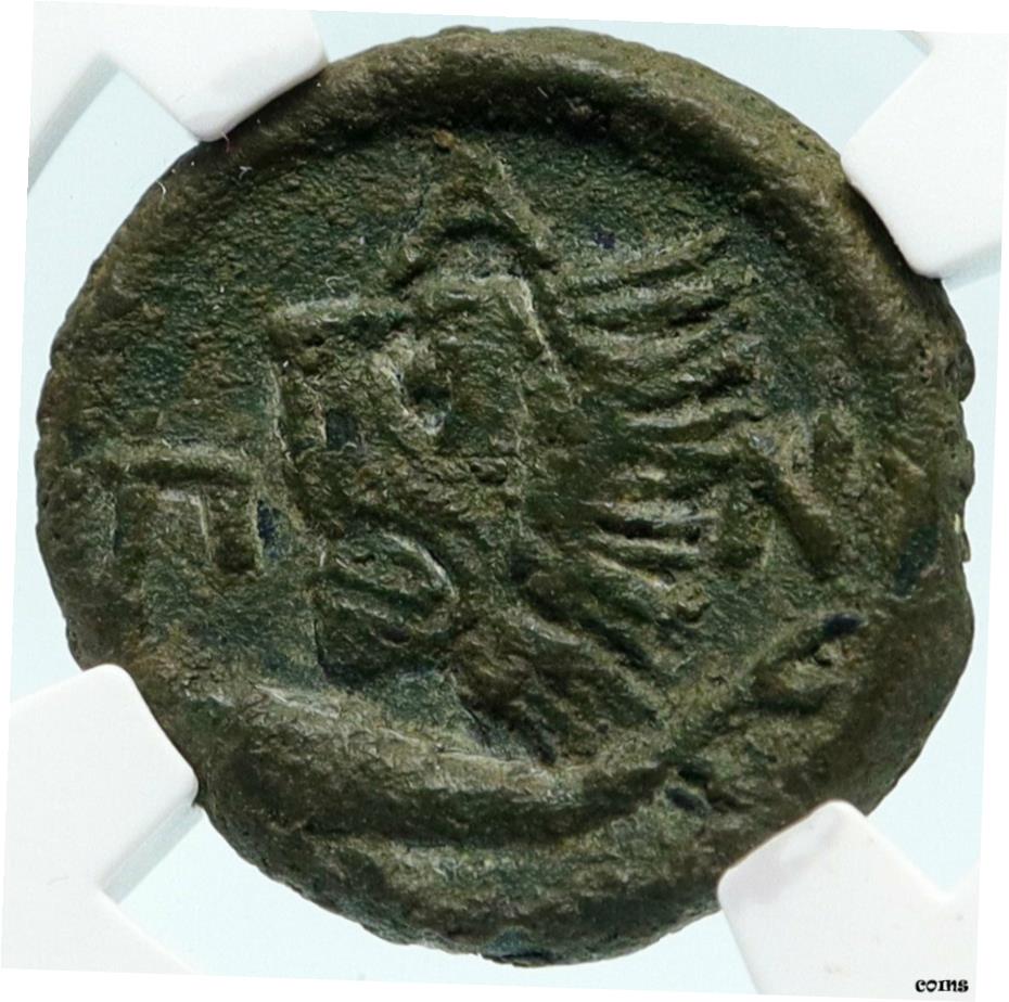 ڶ/ʼݾڽա ƥ    [̵] PANTIKAPAION in Bosporus 310BC ʪ 奮ꥷ㥳 ѥ ꥪ NGC i82964- show original title