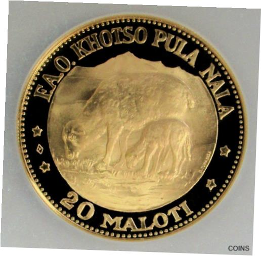 1969  쥽 20 ޥƥ F.A.O. EWE & LAMB 80  NGC ץ롼 67 ȥ饫ᥪ- s...