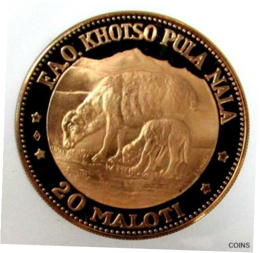 1969ǯ  쥽 20 ޥƥ F.A.O. EWE & LAMB  NGC ץ롼 67 ȥ饫ᥪ- sho...