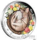  アンティークコイン コイン 金貨 銀貨  KANGAROO Dreaming Down アンダーシルバーコイン 50セント オーストラリア 2021- show original title