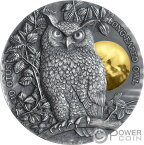 【極美品/品質保証書付】 アンティークコイン コイン 金貨 銀貨 [送料無料] LONG EARED OWL Asio Otus 2オンス シルバー コイン 5 $ Niue 2019- show original title