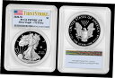 yɔi/iۏ؏tz AeB[NRC RC   [] 2020 W Silver Eagle PCGS PR70 DCAM FIRST STRIKE v75 Privy World War 2!! Scarce!