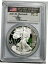 ڶ/ʼݾڽա ƥ    [̵] 2008-W 1 С $1 ꥫ   ޡƥΥͥ㡼 PCGS PR 69 DCAM - show original title