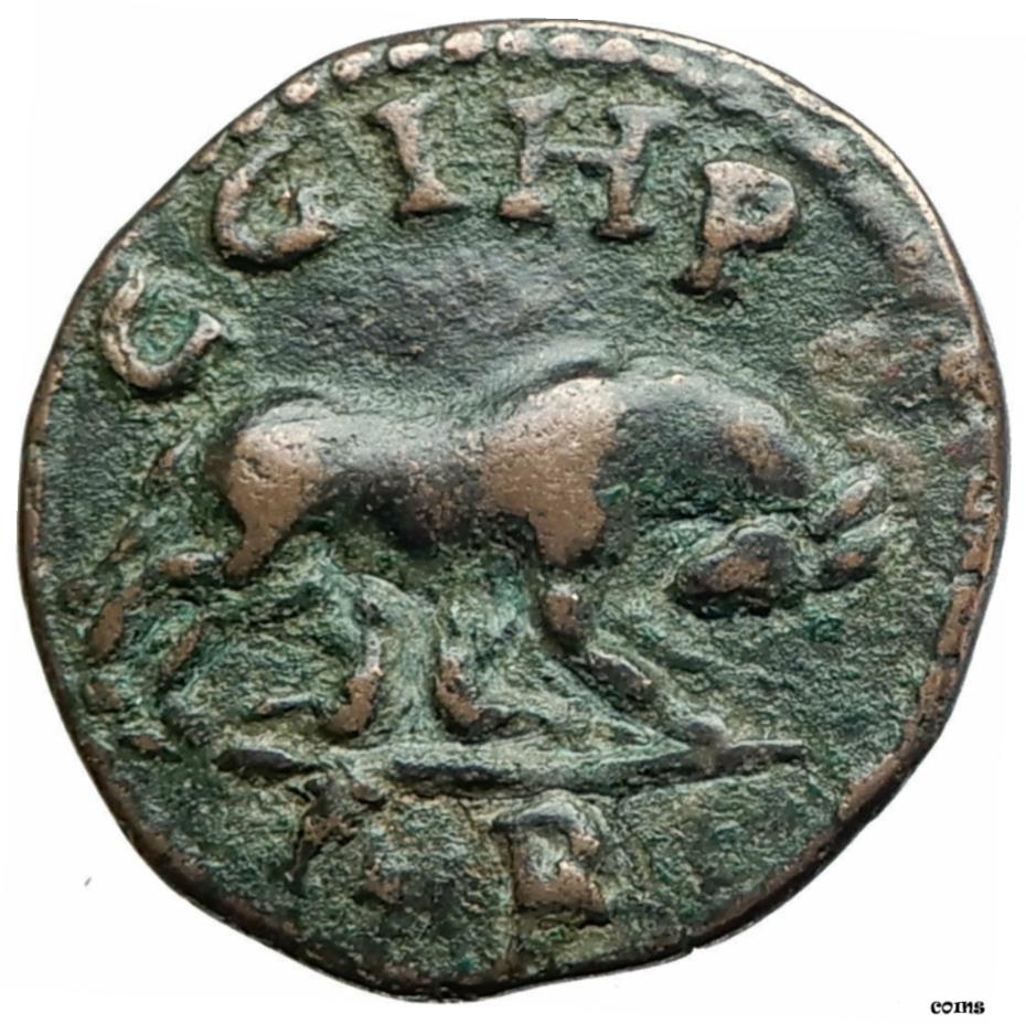 ڶ/ʼݾڽա ƥ    [̵] Severus Alexander-Parion Parium MysiaʪޥWOLF i79752- show original title