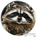 ダイヤモンド アライグマ 1オンス シルバー コイン 5 セディス ガーナ 2020Diamond RACCOON 1oz Silver Coin 5 Cedis Ghana 2020(3)