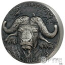 水牛ビッグ 5 モーコイ 5 オンス シルバー コイン 5000 フランツ コートジボワール 2020WATER BUFFALO Big 5 Mauquoy 5...