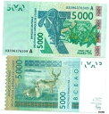 西アフリカ諸国、2003 年、5000 フラン CFA、P-117Aa、UNC 紙幣コートジボワールWest African States, 2003, 500...