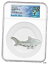 hammerhead shark inの画像