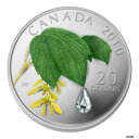 カナダ $20 2010 シルバー プルーフ「クリスタル レインドロップ、スワロフスキー付き」エレメント ボックス/CoACANADA $20 2010 Silver Proof 'Crystal Raindrop w/Swarovski' Element Box/CoA