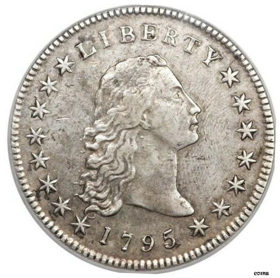 【極美品/品質保証書付】 1795 フローリングヘアドル 、 レアシルバープラグ バラエティ 、 NGC AUディテール 、 BB-18 、 B-7- show original title