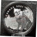  アンティークコイン コイン 金貨 銀貨  2021 - Multilayered Cougar - $50 Pure Silver Proof Coin - Canada