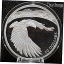 COA#300 - 2020 勇気あるハクトウワシ - $50 5オンス純銀プルーフコイン - カナダCOA#300 - 2020 Courageous Bal...