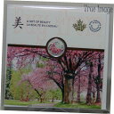 yɔi/iۏ؏tz AeB[NRC RC   [] Sealed - 2019 - Brilliant Cherry Blossoms - 1/4 OZ $8 Pure Silver Coin - Canada