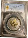 2015 PCGS PR69 カナダ $300 メープル リーフ フォーエバー プラチナ リバース プルーフ 1 オンス2015 PCGS PR69 Canad...