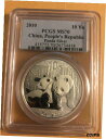 2010 シルバー パンダ PCGS MS702010 Silver Panda PCGS MS70