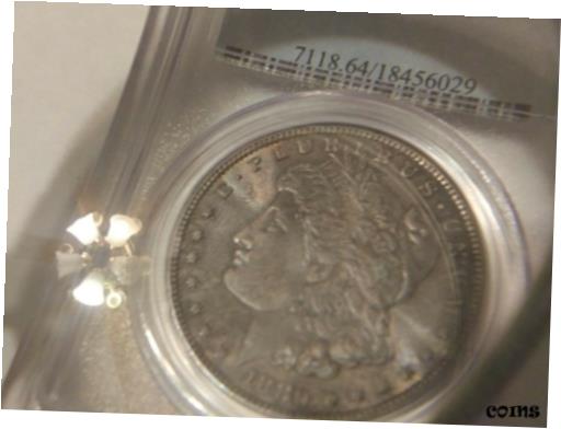 ڶ/ʼݾڽա ƥ    [̵] PCGS MS 64 MORGAN DOLLAR BLUE ...