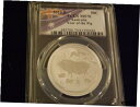 2019-P 50C 亥年 PCGS MS 702019-P 50C Year of the Pig PCGS MS 70