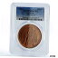 サハラウィ 100 ペセタ 先史時代の動物 タルボサウルス MS67 PCGS 銅貨 1993Saharawi 100 Peseta Prehistoric Animal Tarbosaurus MS67 PCGS Copper Coin 1993 98,000円