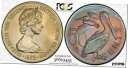 yɔi/iۏ؏tz AeB[NRC RC   [] 1973-FM BRITISH VIRGIN IS. 50 CENTS BU PCGS MS67 COLOR TONED COIN ONLY 2 HIGHER