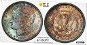 yɔi/iۏ؏tz AeB[NRC RC   [] 1886N $1 [K Vo[ h PCGS MS65 iCX g[jO- show original title