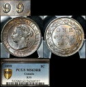 エリート品種カナダ ラージ セント 1899 リパンチ 9/9 PCGS MS63 (a437)Elite Breed Canada Large Cent 18...