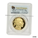 2020-W $50 ゴールド バッファロー PCGS PR70DCAM ファースト ストライク プルーフ コイン バイソン ラベル2020-W $50 Gol...