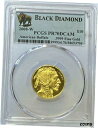 【極美品/品質保証書付】 アンティークコイン 金貨 2008-W 1/4 oz Proof $10 Gold Buffalo PR-70 PCGS - Black Diamond Label [送料無料] #got-wr-8791-7457