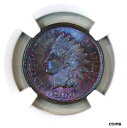 * 1900 * MS66 BN NGC * インディアン ヘッド ペニー * プレミアム品質 * モンスター トーニング! ** 1900 * MS66 BN NGC * INDIAN HEAD PENNY * PREMIUM QUALITY * MONSTER TONING! *(3)
