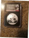 2017、10 元中国パンダ初リリース 30 グラム 999 シルバー地金2017, 10 YUAN CHINA PANDA FIRST RELEASE 30 GRAMS 999 SILVER BULLION