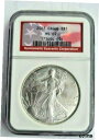 *希少なアメリカ国旗を背景にした 2013 アメリカン シルバー イーグル グレーディング MS-69**2013 American Silver Eagle Graded MS-69 In a RARE American Flag Background*