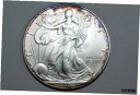 2002 1 オンス シルバー アメリカン イーグル ミント ステート レインボー リム トーン $1 (SE-2002-13)2002 1 oz Silver American Eagle MINT STATE RAINBOW RIM TONED $1 (SE-2002-13)(3)