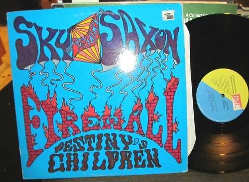 SKY SAXON FIREWALL DESTINY'S CHILDREN LP pvc '86 ACID PSYCH THE SEEDS レア WOW!!