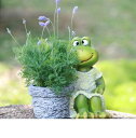 K[fjO ystyle1-ԂȂzq̓IȃNGCeButbOAؔZgiuOK[fƋH|i ystyle1-no flowerzPastoral Creative Frog Fleshy Flower Pot Cement Ornaments Courtyard Park Figurines Decoration Outdoor Garden Fur