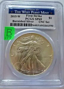 2015 W バーニッシュシルバー イーグ