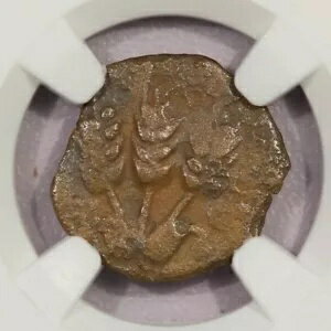 AD 37-44  å I AE ץ륿 yr.6 NGC VG B-11