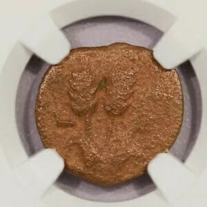 AD 37-44  å I AE ץ륿 yr.6 NGC VG B-11