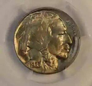 1935-D バッファロー ニッケル PCGS MS65