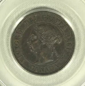 1891年カナダ1セント。 PCGS AU50 小さなナツメヤシの大きな葉。